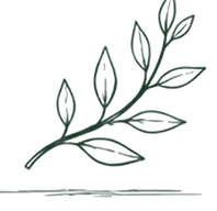 Hand-drawn branch