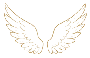 Hand-drawn wings